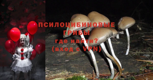 мескалин Баксан