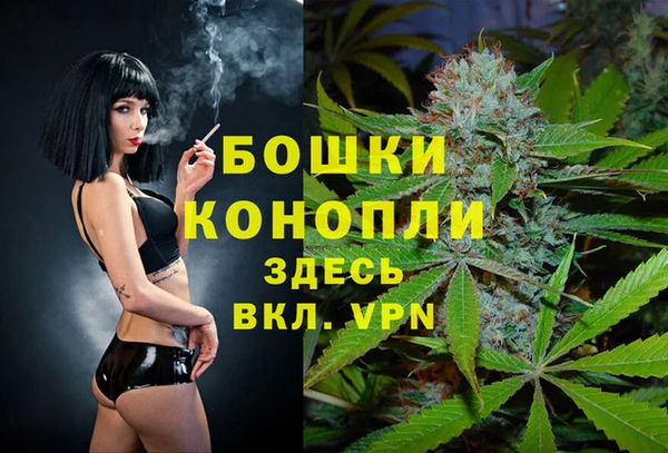 дмт Балахна