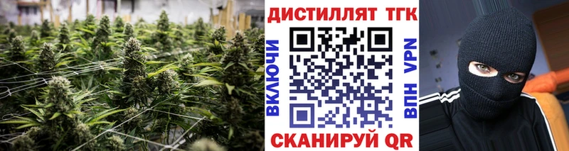 МЕГА как войти Вичуга ТГК концентрат сколько стоит