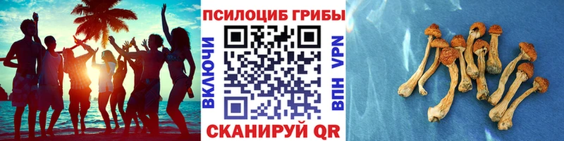 Галлюциногенные грибы Magic Shrooms  Вичуга 